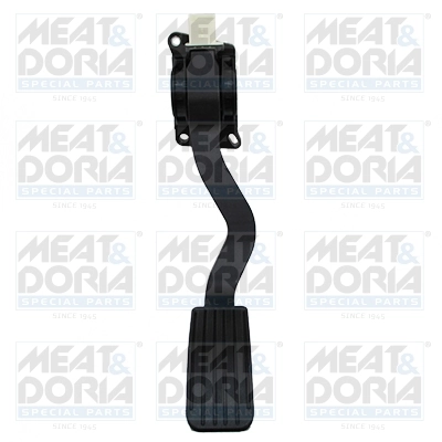 Accelerator Pedal Unit